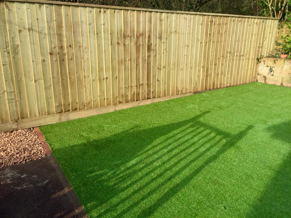 Hares Fencing 1 Hares Fencing 1